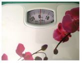 Balança Mecânica Analógica Banheiro Academia Peso Até 130 kg Yins Home