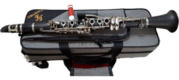 Requinta Stanford Clarinete Píccolo Mib Modelo SCL570S